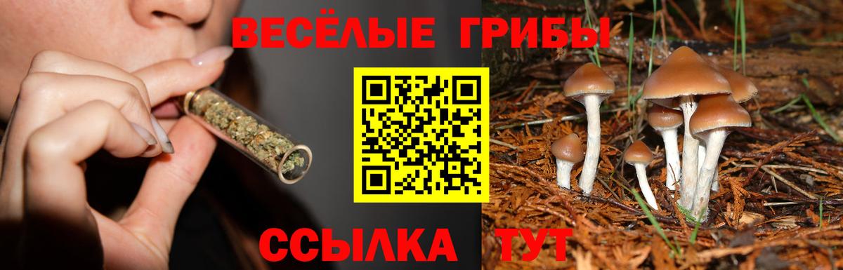 Псилоцибиновые грибы мухоморы  Вход с VPN  Галлюциногенные грибы мицелий  Кузнецк 